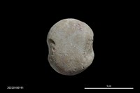 藏品(砝碼形網墜)的圖片